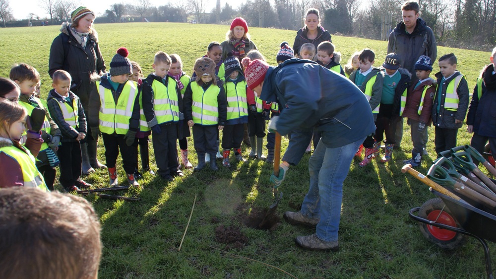 Tree Planting